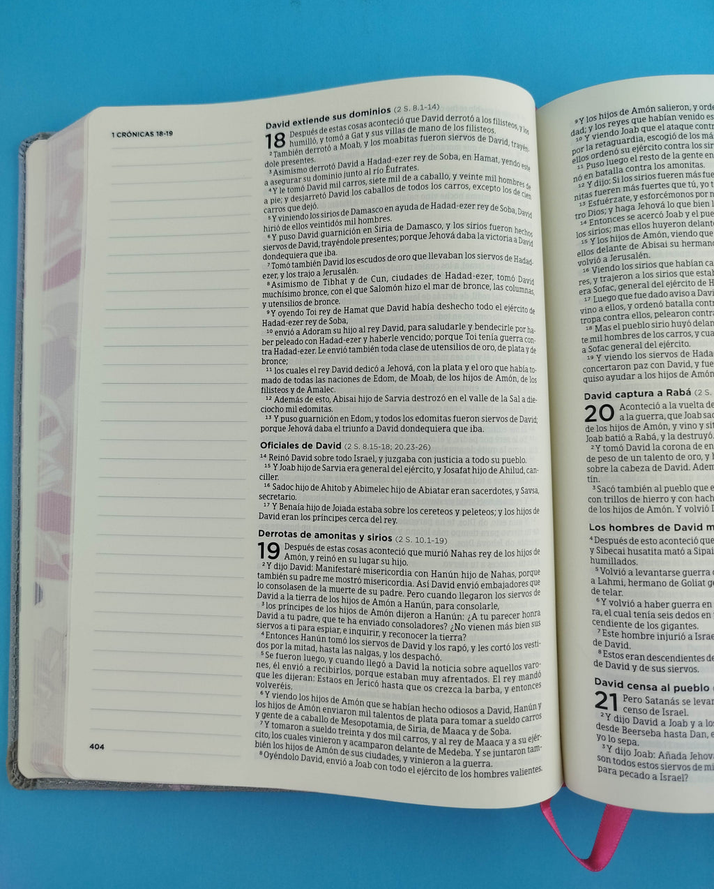 Biblia De Apuntes Gris Flores by libreriatroya.com