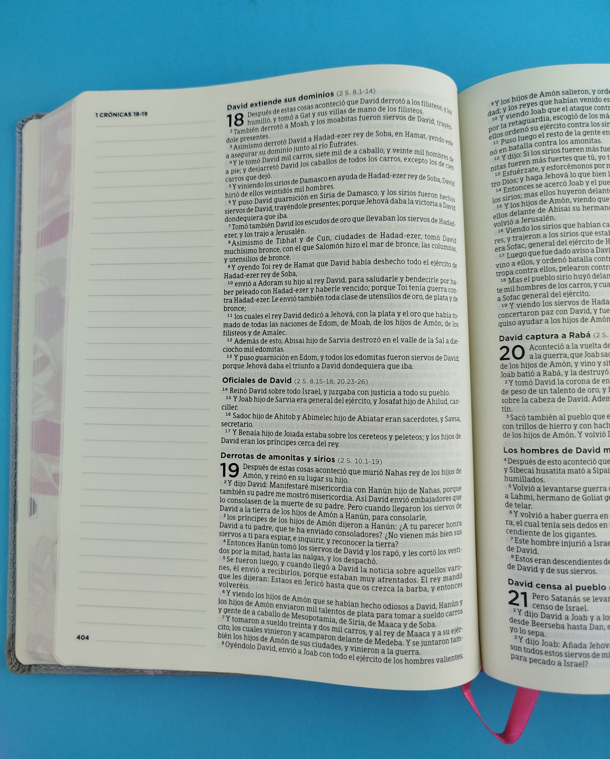 Biblia De Apuntes Gris Flores by libreriatroya.com