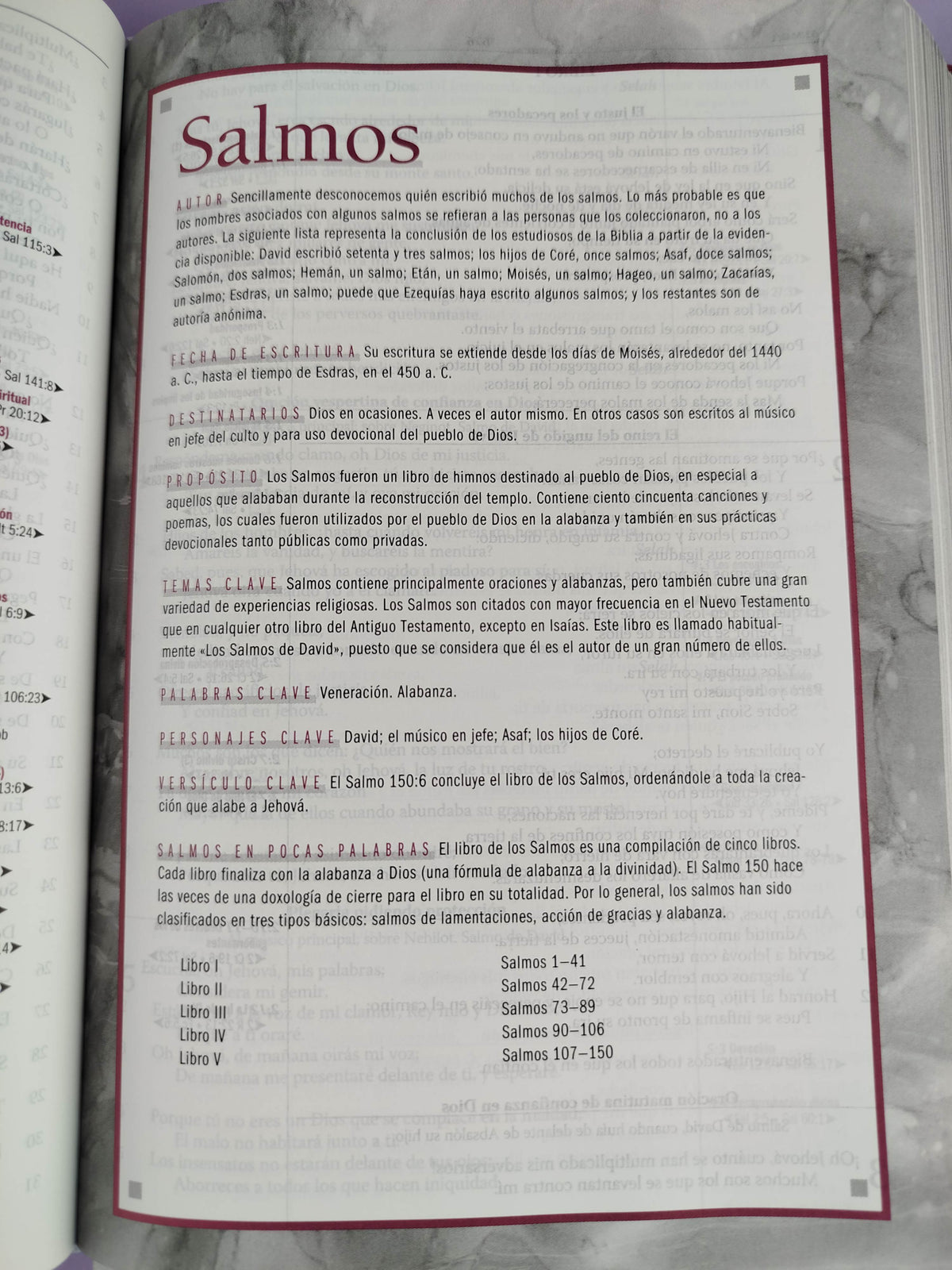 Biblia Thompson De Estudio Lujo Orquidea by libreriatroya.com