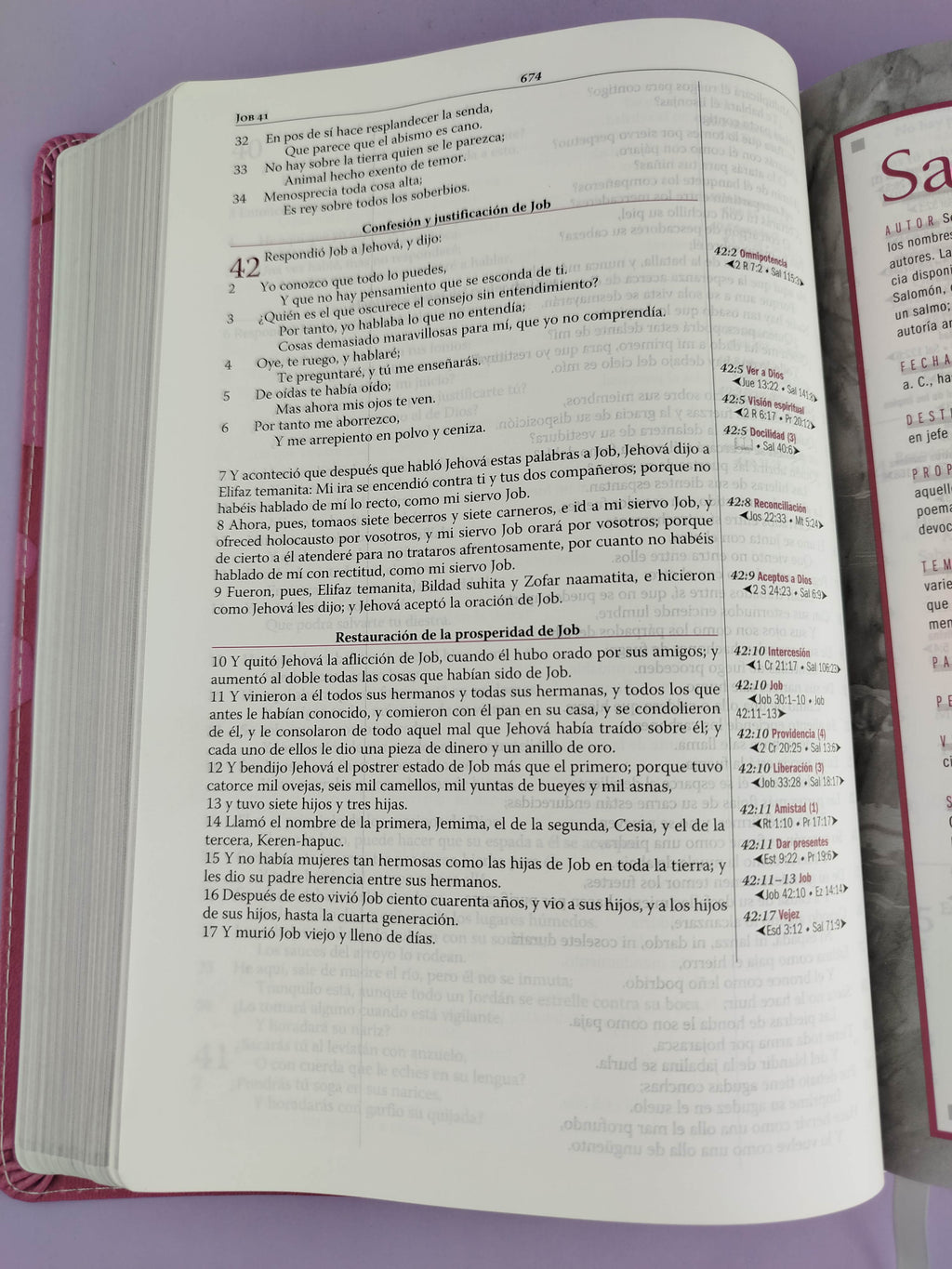 Biblia Thompson De Estudio Lujo Orquidea by libreriatroya.com