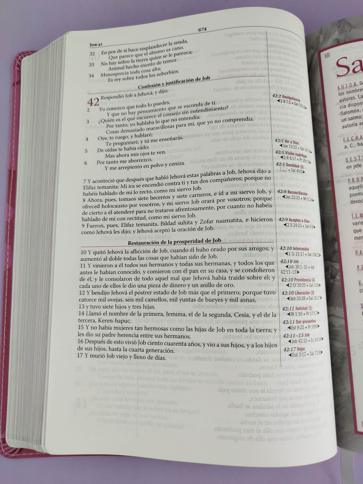 Biblia Thompson De Estudio Lujo Orquidea by libreriatroya.com