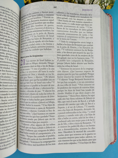 Biblia mujer de hoy RVR 60 rosada canto plateado