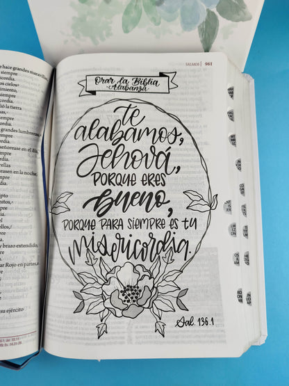 Biblia de estudio ser mujer lectura-devocional-estudio