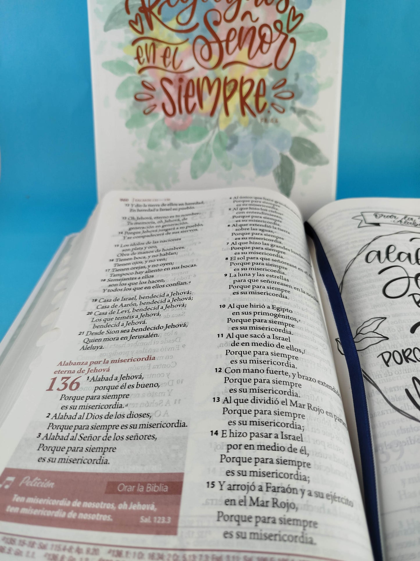 Biblia de estudio ser mujer lectura-devocional-estudio