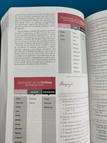 Biblia De Estudio Rvr Matthew Henry Negra