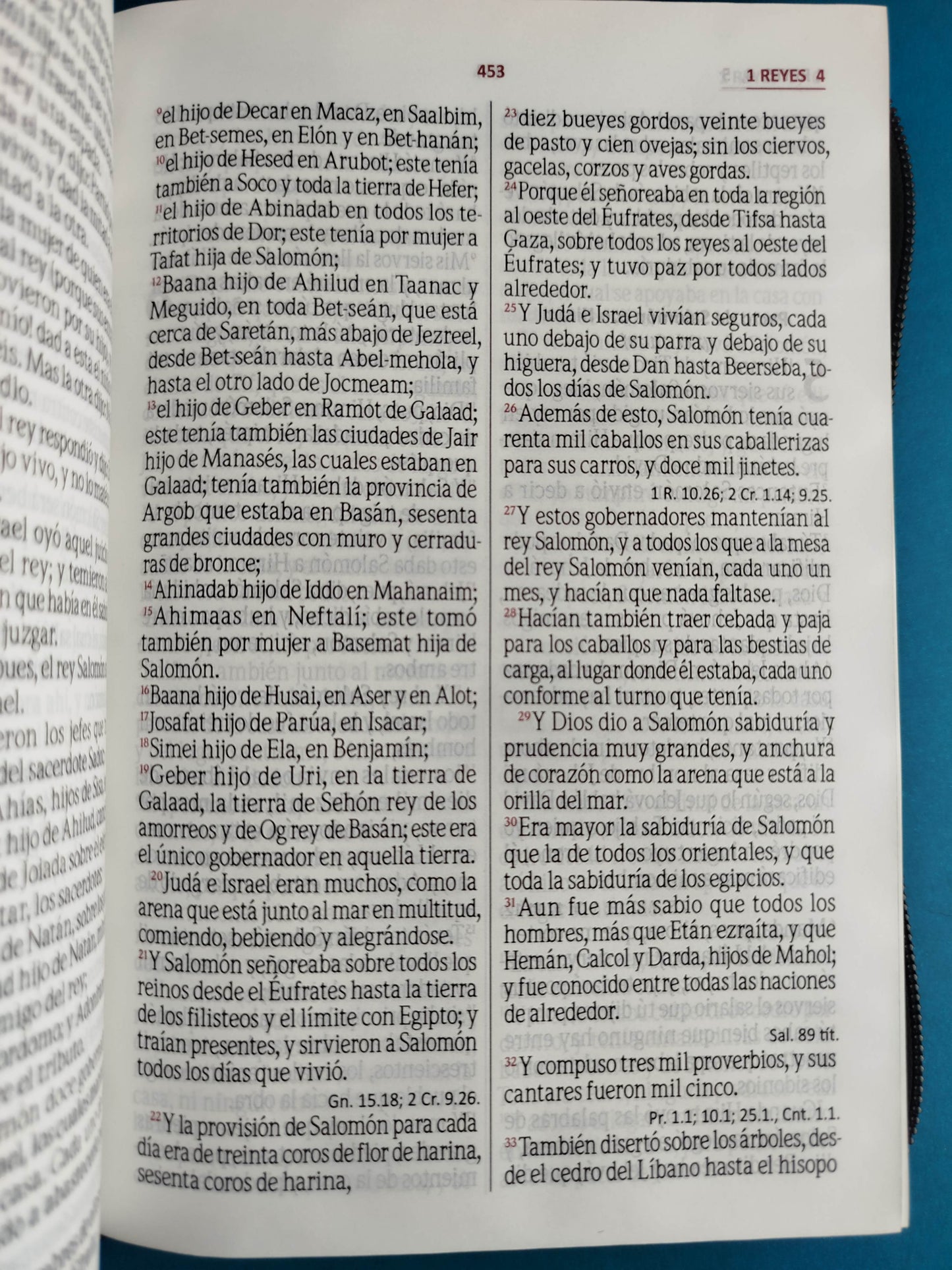 Biblia de oracíones negro gris