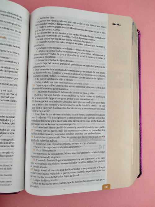 Biblia encuentro diario con Dios fucsia QR - RVC by Reina Valera contemporánea