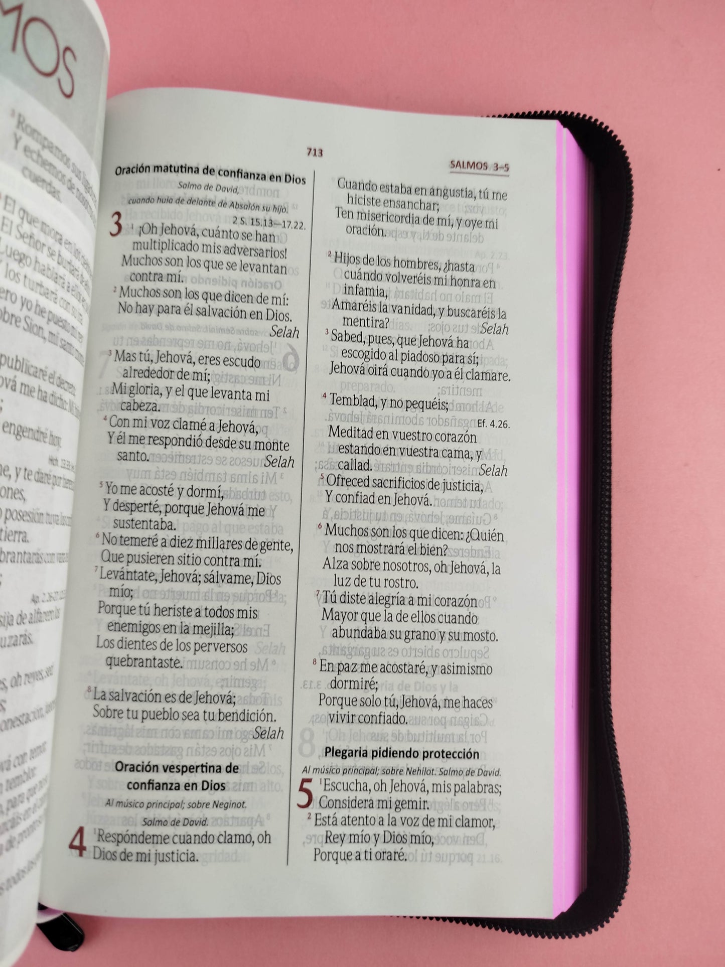 Biblia rvr letra grande negra flores fucsia promoción