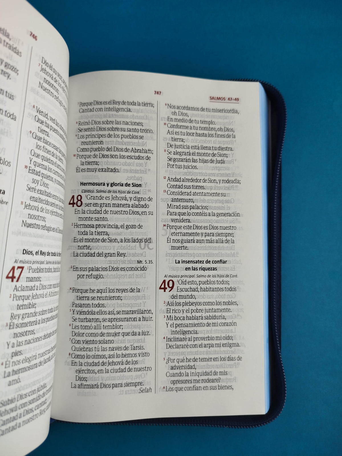 Biblia rvr letra grande promoción gris estampado by Reina Valera 1960