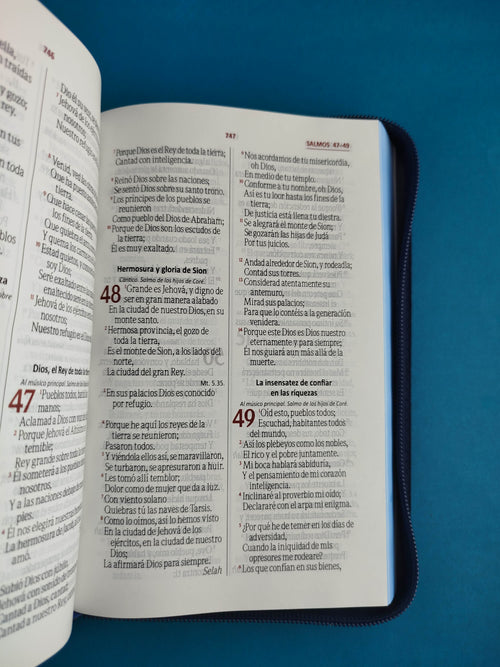 Biblia rvr letra grande promoción gris estampado by Reina Valera 1960
