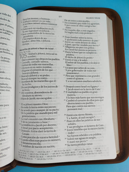 Biblia rvr 1960 letra grande tipo agenda marrón miel con cierre e imágenes de la tierra santa