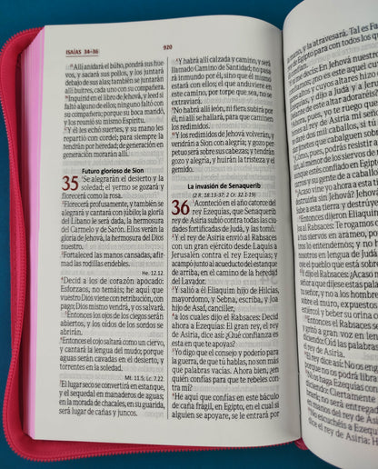 Biblia letra grande promoción fucsia flores