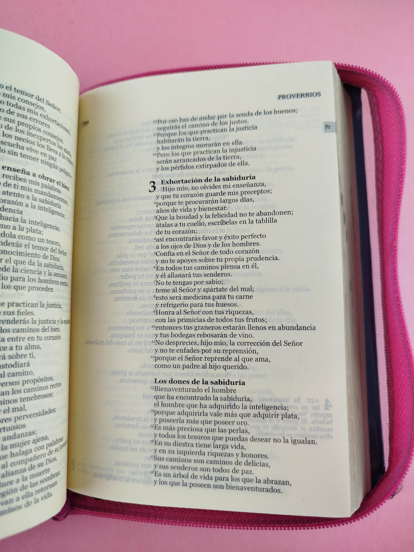 Nuestra sagrada biblia azul letra pequeña