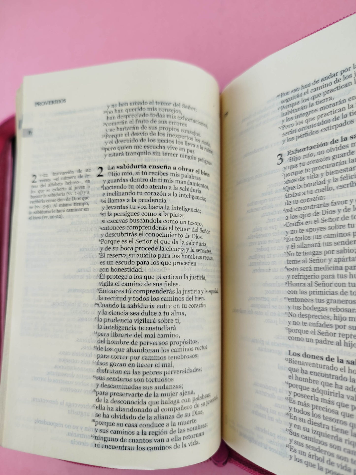 Nuestra sagrada biblia azul letra pequeña