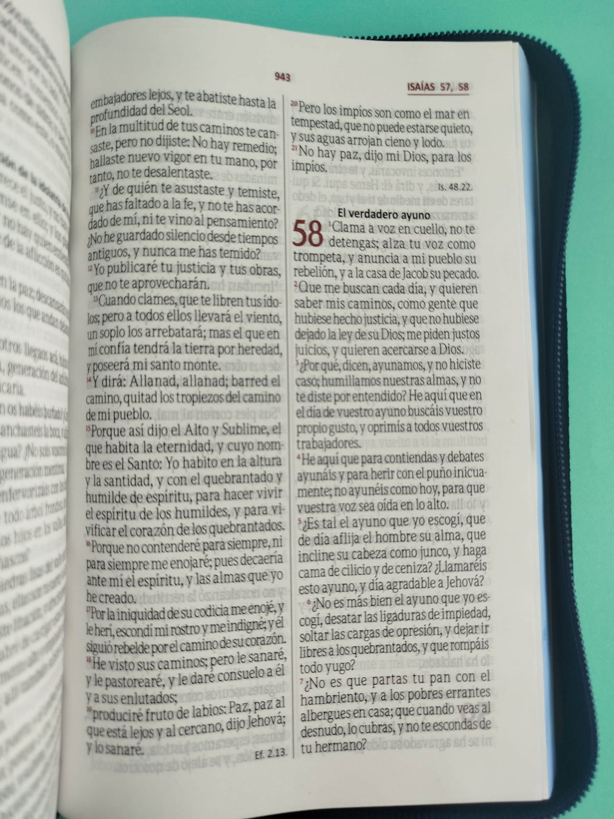Biblia rvr letra grande promoción azul estampado by Reina Valera 1960