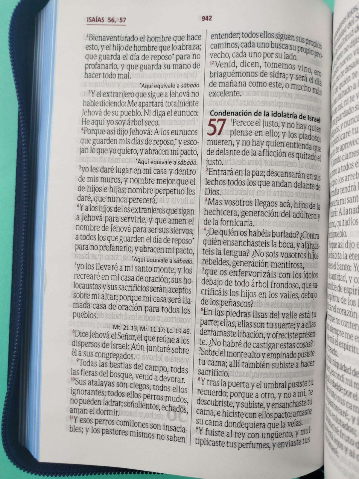 Biblia rvr letra grande promoción azul estampado by Reina Valera 1960