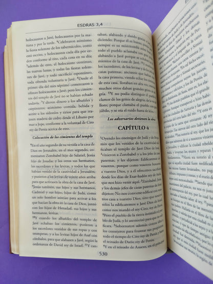 Biblia Dios me habla cafe claro tapa dura borde dorado incluye libros deuterocanónicos