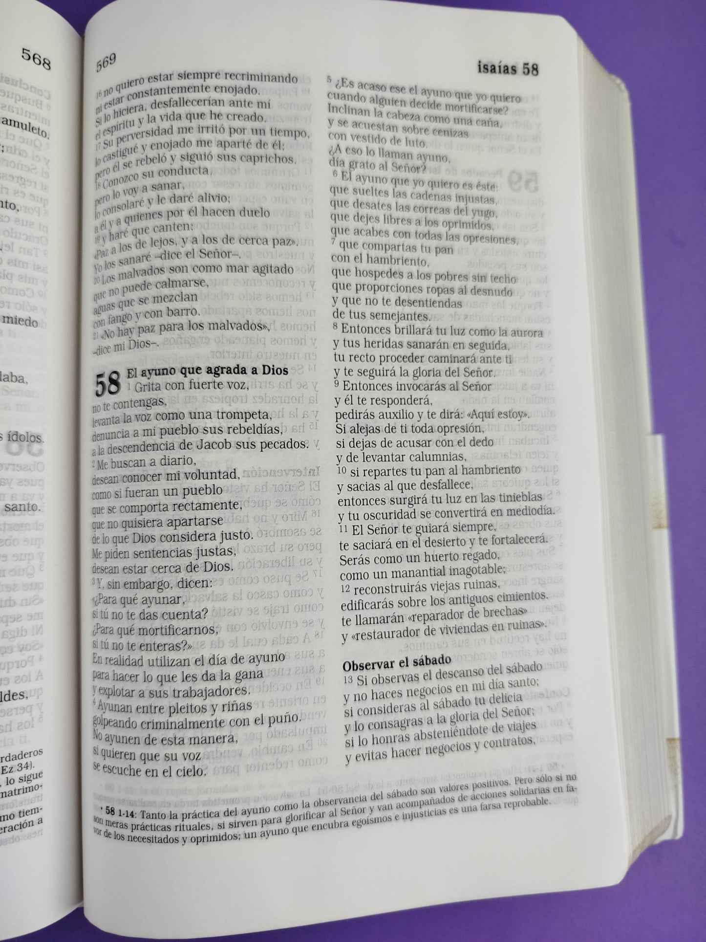 Sagrada biblia edición para días especiales