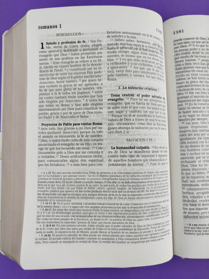 Sagrada biblia edición para días especiales