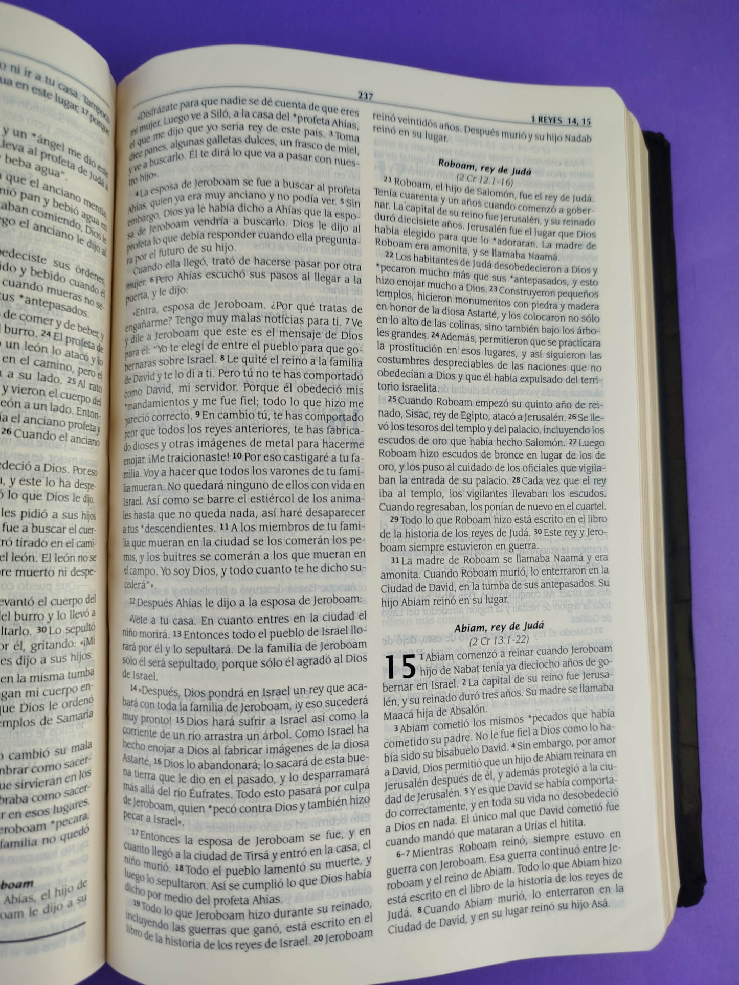 La biblia traducción en lenguaje actual negra con deuterocanónicos en orden alejandrino