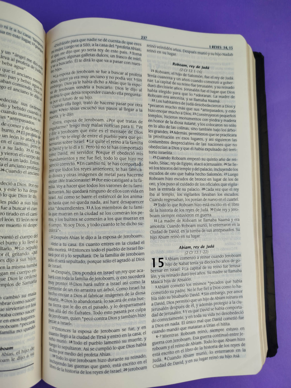 La biblia traducción en lenguaje actual negra con deuterocanónicos en orden alejandrino by Lenguaje actual