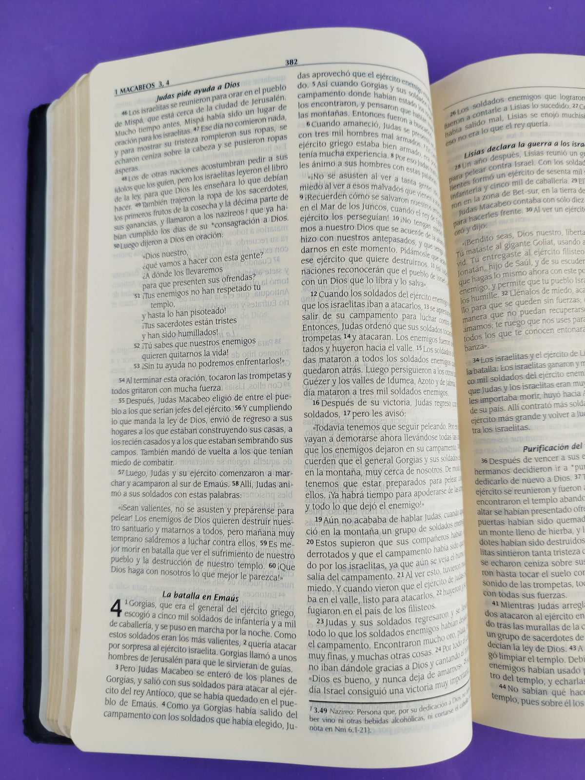 La biblia traducción en lenguaje actual negra con deuterocanónicos en orden alejandrino by Lenguaje actual