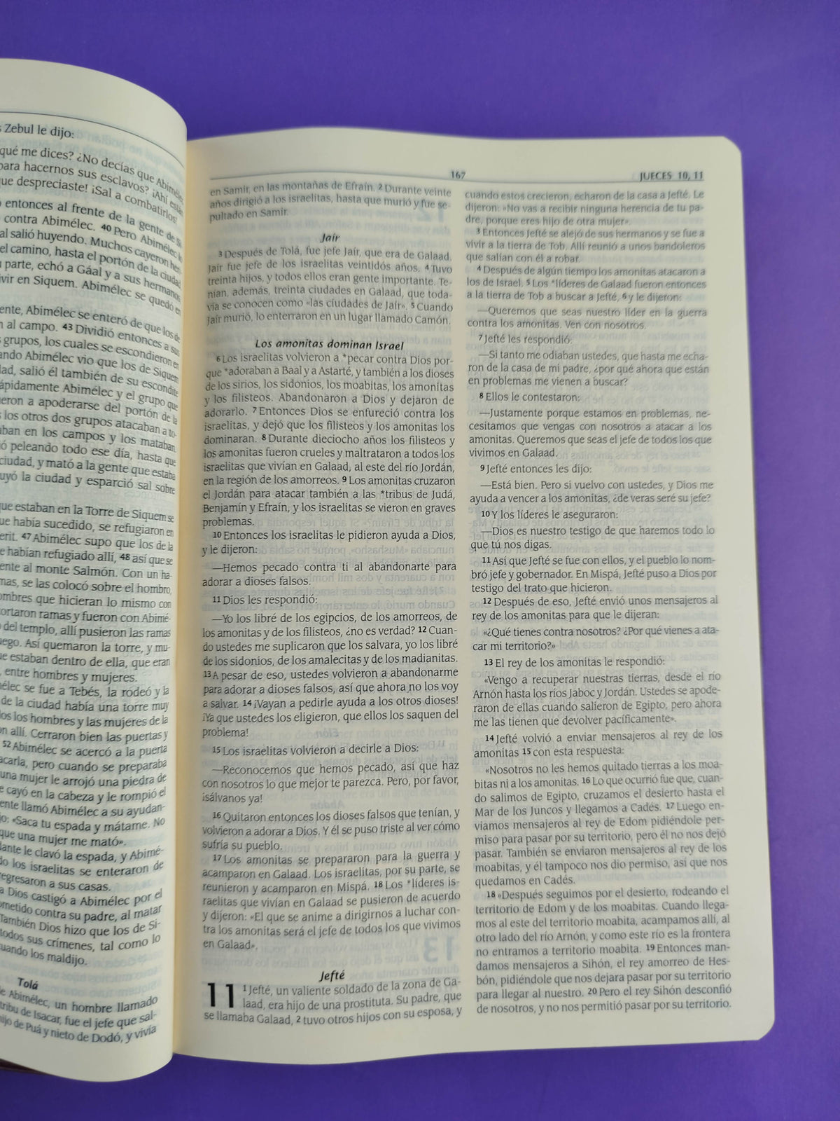 La biblia traducción en lenguaje actual vino tinto con deuterocanónicos en orden alejandrino by Lenguaje actual