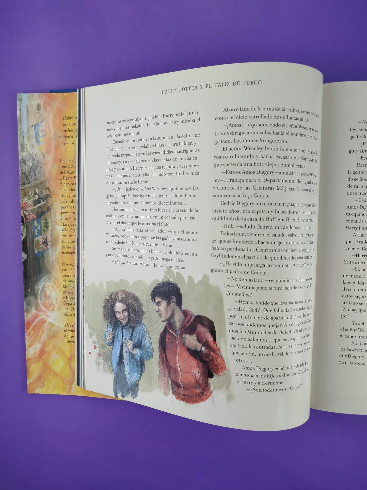 Harry Potter y el cáliz de fuego