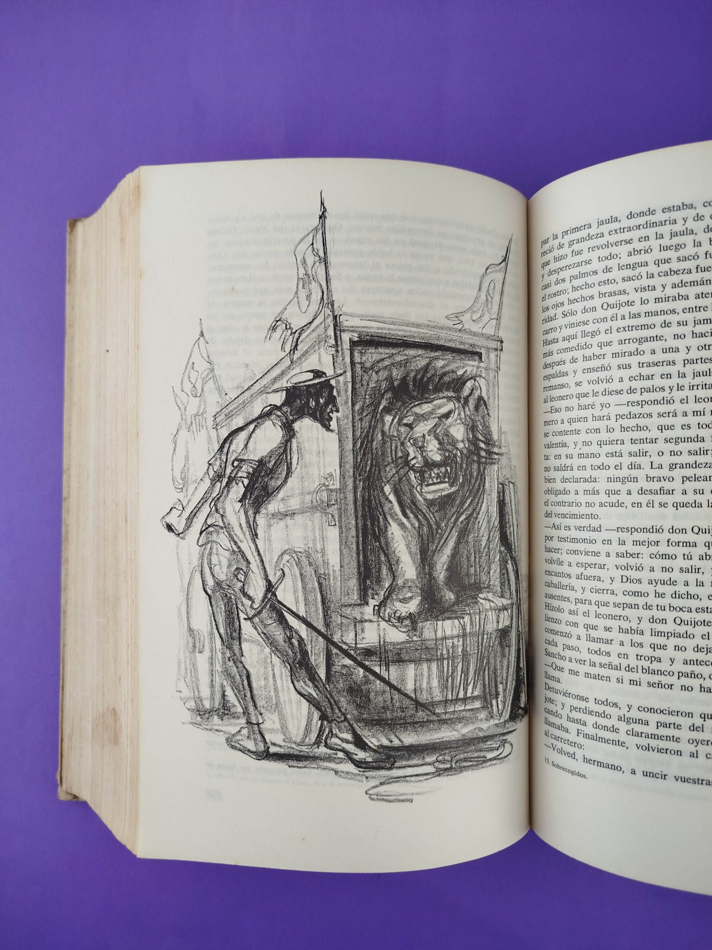 El ingenioso Hidalgo don Quijote de la mancha con ilustraciones de Gerhart Kraaz