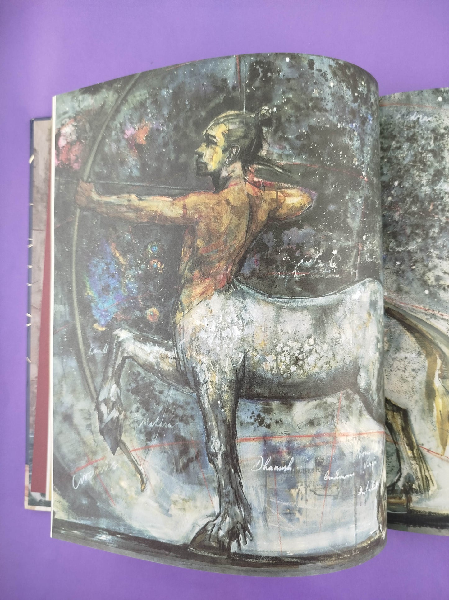 Animales fantásticos y dónde encontrarlos