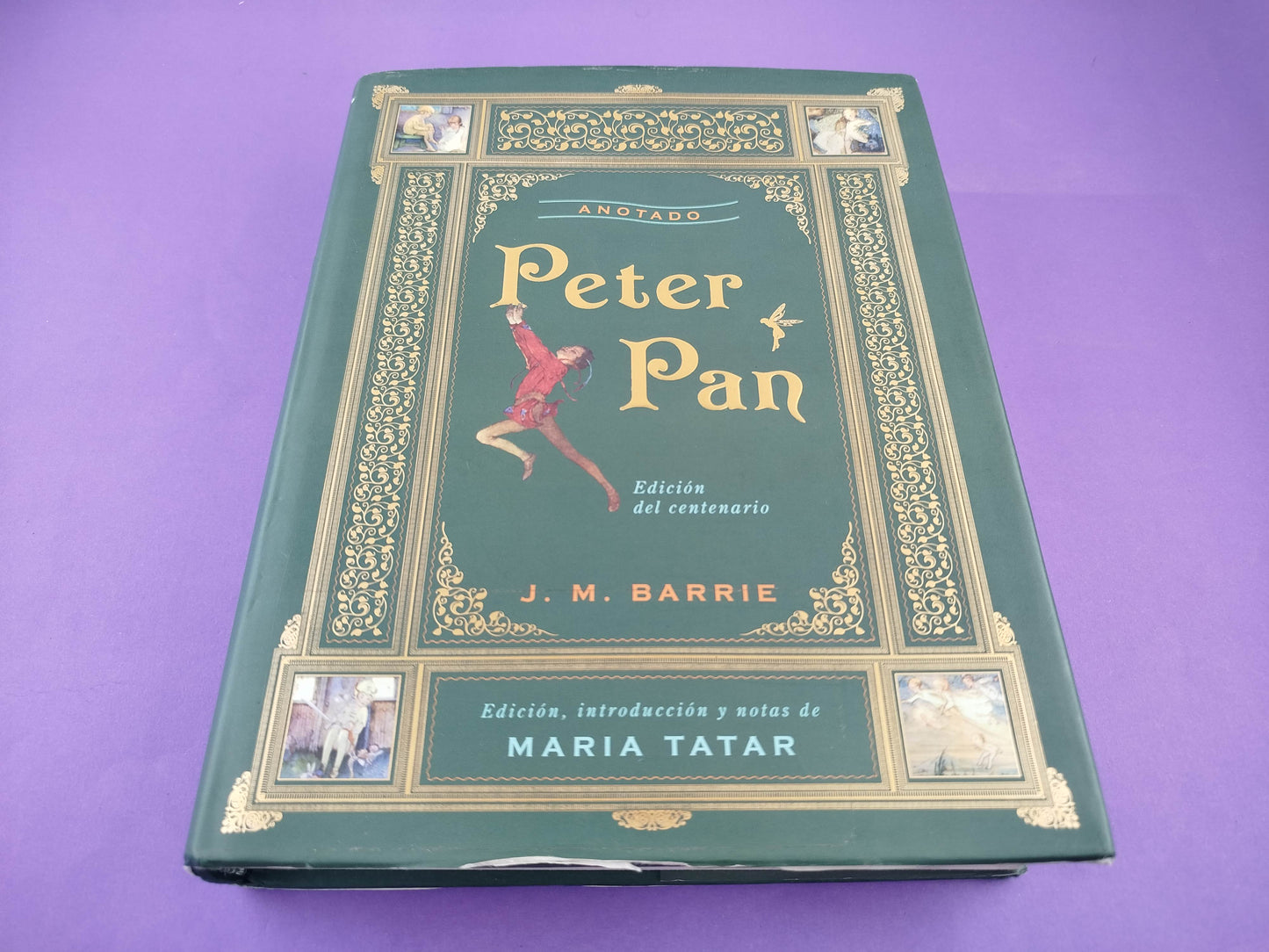Peter pan anotado