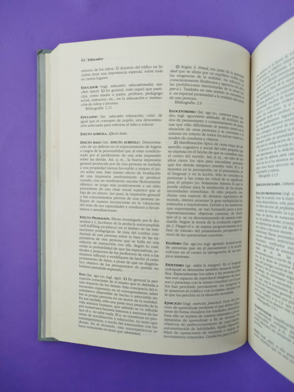 Diccionario akal de pedagogía by Horst Schaub y Karl G Zenke