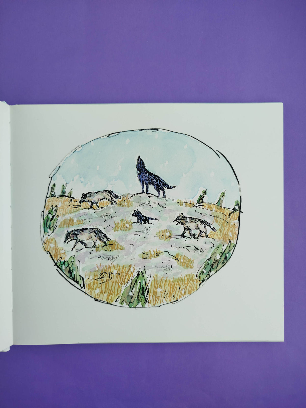 Lobo en la nieve by Matthew Cordell