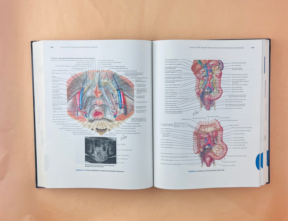 Anatomía y Abordajes Quirúrgicos de Netter by Conor P. Delaney Jerry Goldstone Jeffrey H. Hardacre.