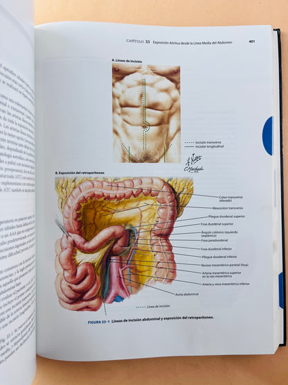 Anatomía y Abordajes Quirúrgicos de Netter