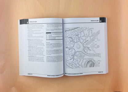 Netter cuaderno de anatomía para colorear 3 edición