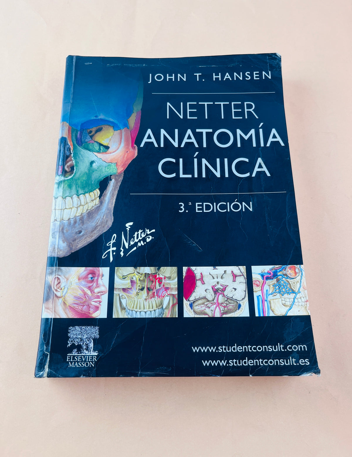 Netter Anatomía clínica tercera edición by John T. Hansen