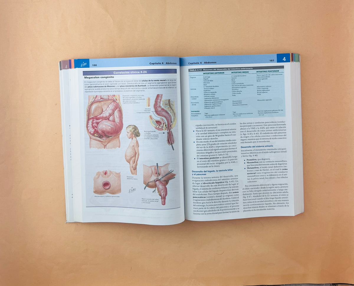 Netter Anatomía clínica tercera edición by John T. Hansen