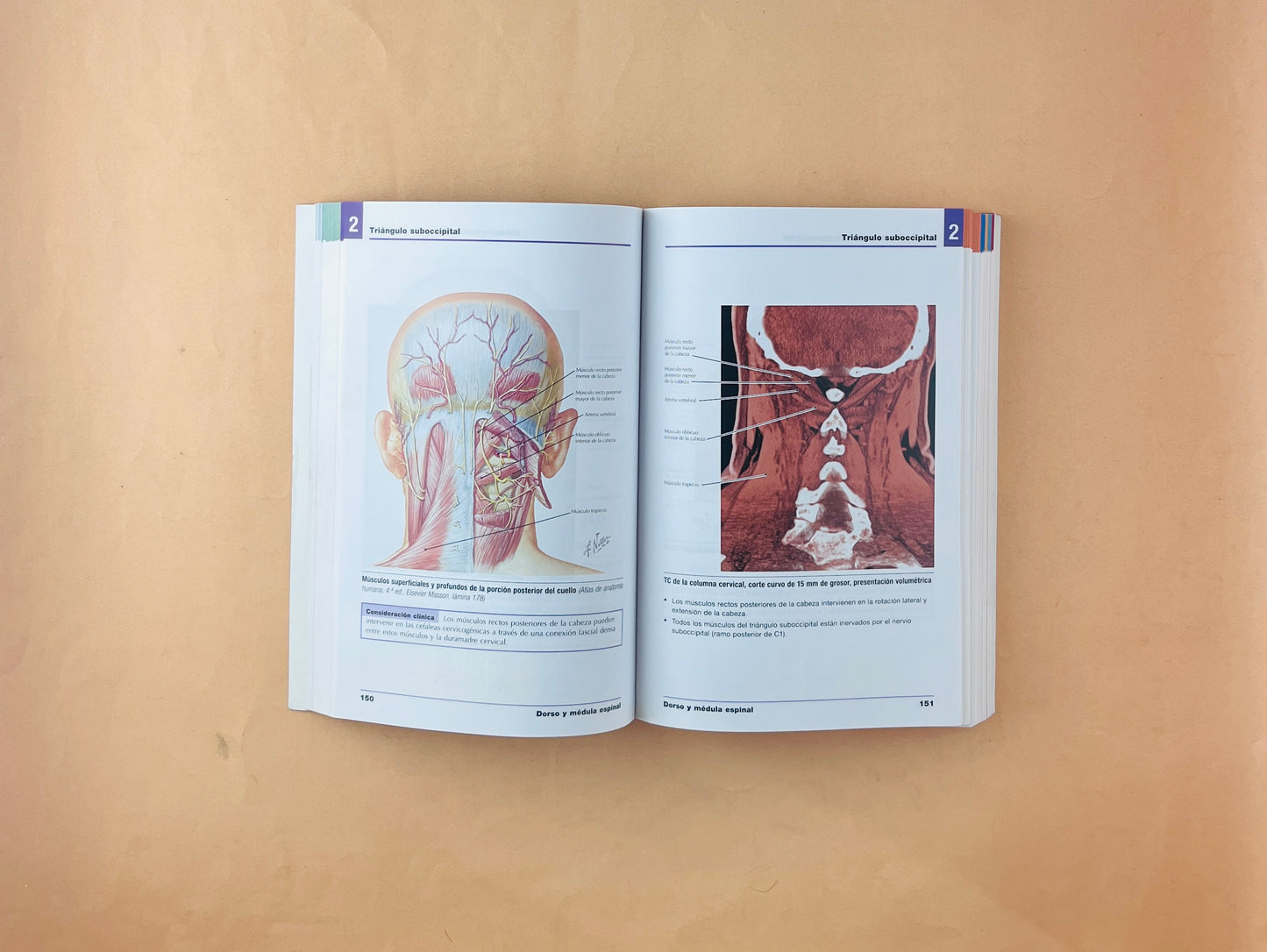 Netter anatomía radiológica esencial