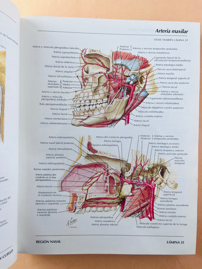 Atlas de anatomía humana