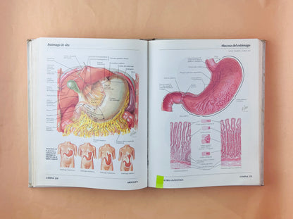 Atlas de anatomía humana