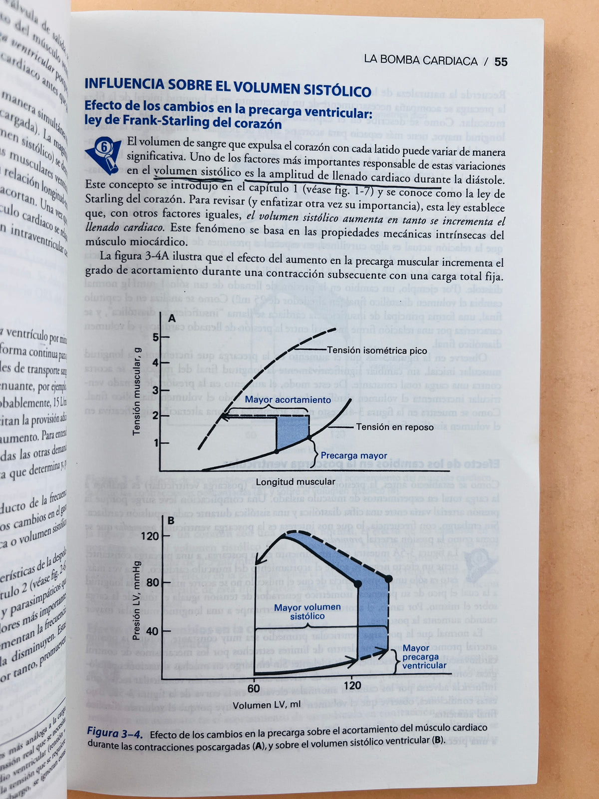 Fisiología cardiovascular sexta edición by David E Mohrman Lois Jane Heller