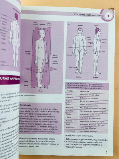 Lo esencial en Anatomía cursos crash tercera edición