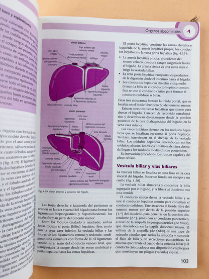 Lo esencial en Anatomía cursos crash tercera edición