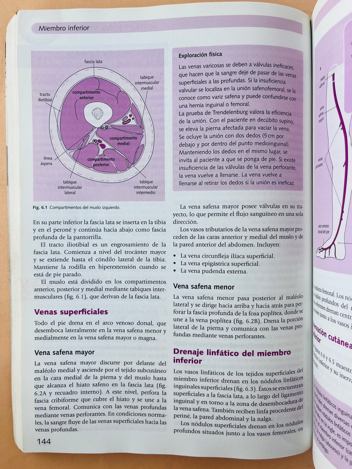 Lo esencial en Anatomía cursos crash tercera edición