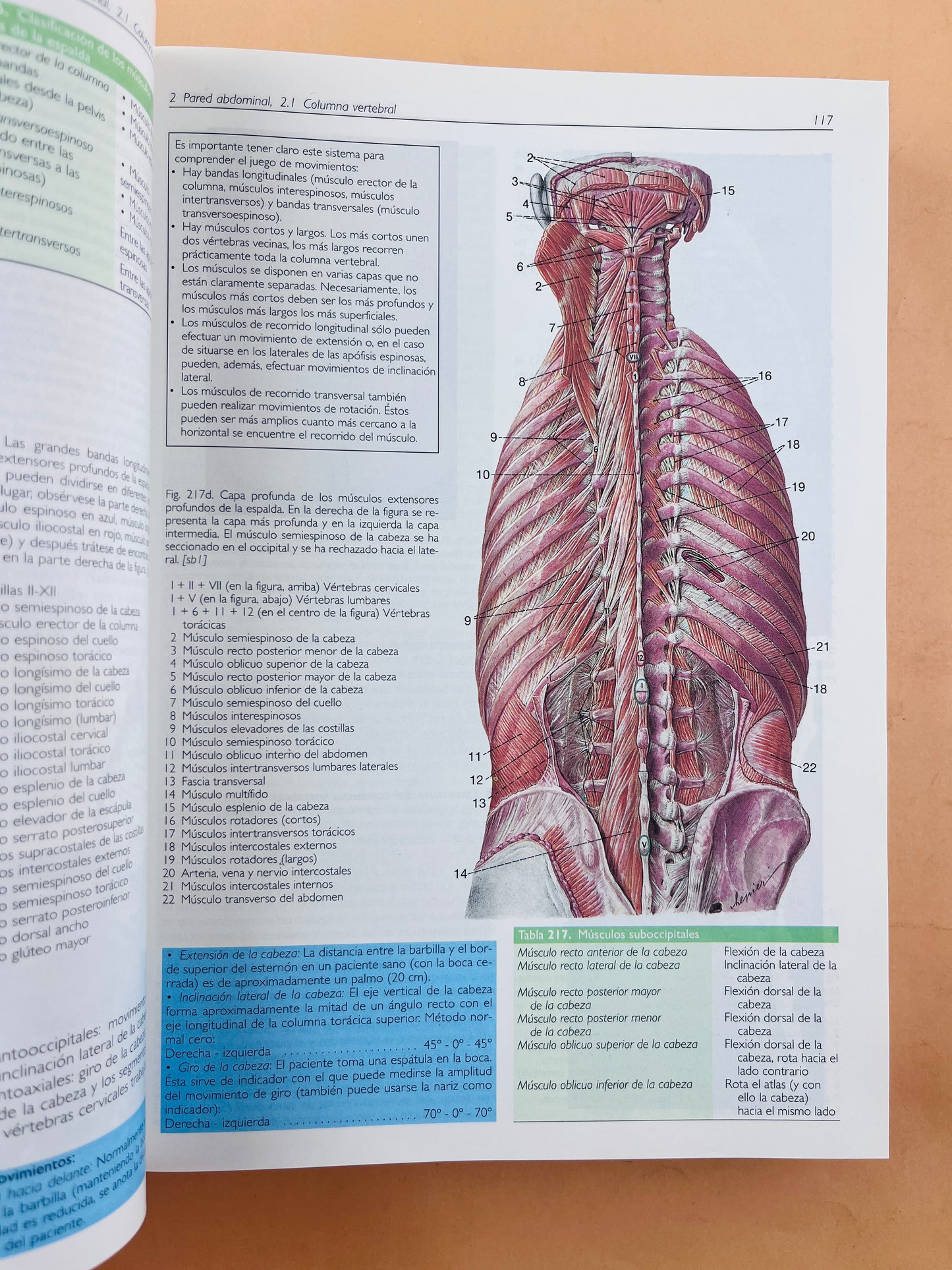 Anatomía con orientación clínica