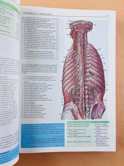 Anatomía con orientación clínica