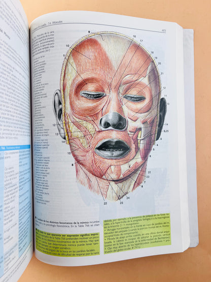 Anatomía con orientación clínica
