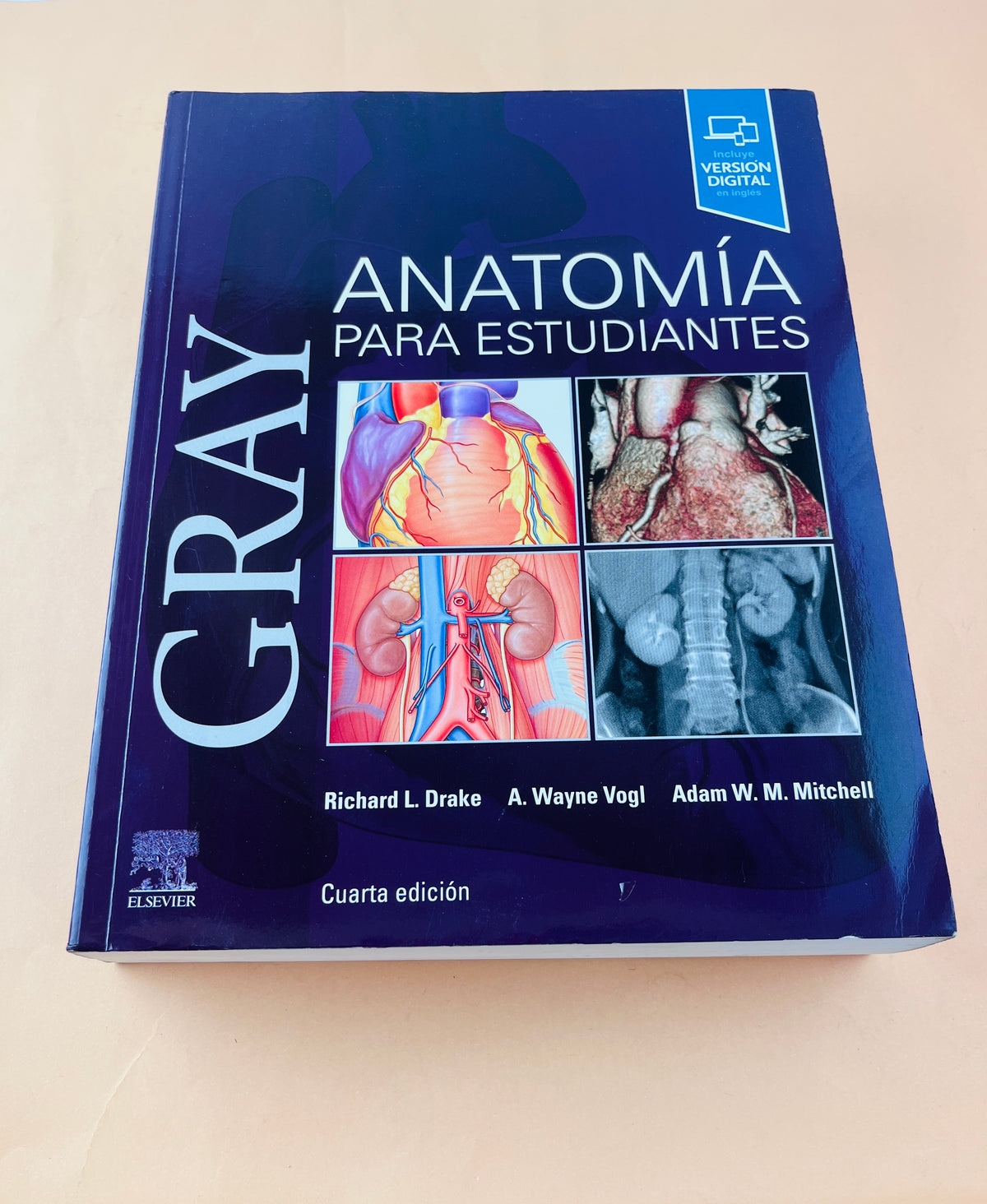 Gray anatomía para estudiantes cuarta edición by Richard L. Drake A. Wayne Vogl Adam W. M. Mitchell