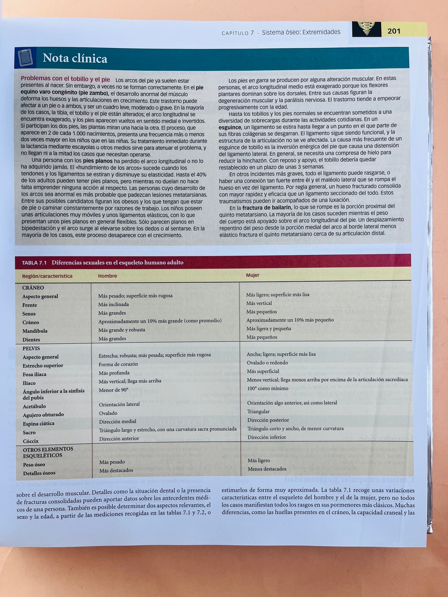 Anatomía humana sexta edición